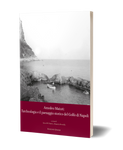 Amedeo Maiuri: l'archeologia e il paesaggio storico del Golfo di Napoli. Atti della Giornata di Studi a 90 anni dallo scavo di Villa Jovis (Capri, 28 ottobre 2022)