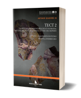 TECT 2 - La pittura frammentaria di età romana: metodi di studio e catalogazione