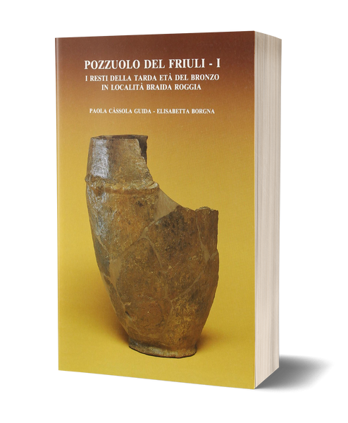 Pozzuolo del Friuli I. I resti della tarda età del bronzo in località Braida Roggia