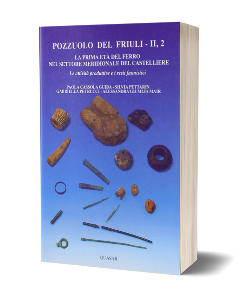 Pozzuolo del Friuli II, 2. La prima età del Ferro nel settore meridionale del Castelliere. Le attività produttive e i resti faunistici